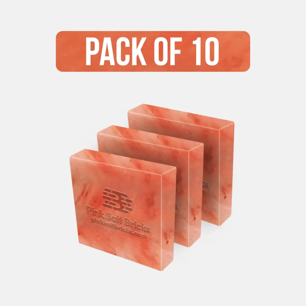 Testa - Solid Himalayan Salt Tile (4" x 4" x 1") - Pack of 10