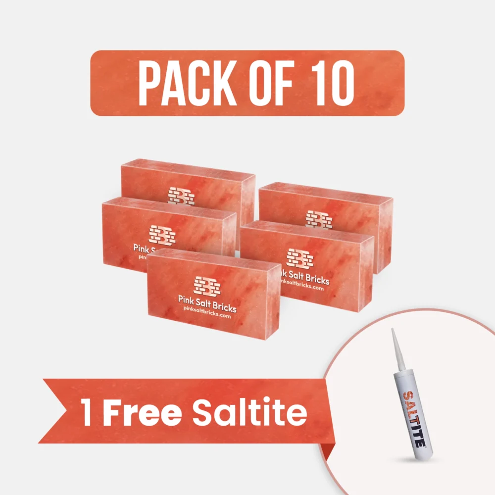 Himalayan Salt Bricks 8" x 4" x 2" Pack of 10 With Free Saltite