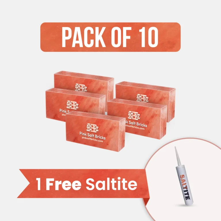 Himalayan Salt Bricks 8" x 4" x 2" Pack of 10 With Free Saltite