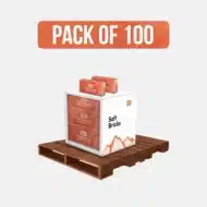 Himalayan Pink Salt Bricks 8" x 4" x 2" - Pack of 100